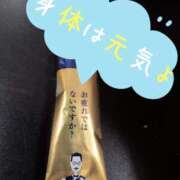 ヒメ日記 2025/06/01 07:48 投稿 澪 川崎人妻城