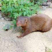 ヒメ日記 2025/06/04 09:04 投稿 なお 西川口こんにちわいふ（シンデレラグループ）