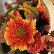 ヒメ日記 2025/03/24 09:30 投稿 なお 梅田人妻秘密倶楽部