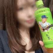 ヒメ日記 2025/04/16 16:45 投稿 なお 梅田人妻秘密倶楽部