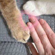 ヒメ日記 2025/04/21 00:20 投稿 なお 梅田人妻秘密倶楽部