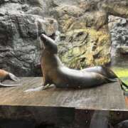 ヒメ日記 2025/05/01 13:05 投稿 なお 梅田人妻秘密倶楽部