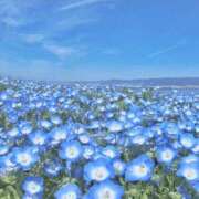 ヒメ日記 2025/05/02 23:45 投稿 なお 梅田人妻秘密倶楽部