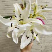 ヒメ日記 2025/08/20 11:20 投稿 なお 梅田人妻秘密倶楽部