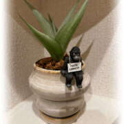 ヒメ日記 2025/09/15 23:40 投稿 なお 梅田人妻秘密倶楽部