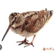 ヒメ日記 2025/10/30 13:45 投稿 なお 梅田人妻秘密倶楽部