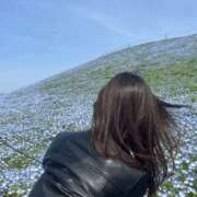 なお ネモフィラ 梅田人妻秘密倶楽部