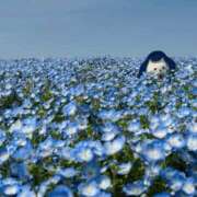 なお ネモ 梅田人妻秘密倶楽部