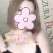 ヒメ日記 2025/10/20 01:00 投稿 ライラ いたずらバニーちゃん