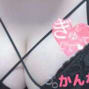 ヒメ日記 2024/12/23 23:17 投稿 かんな 蒼いうさぎ