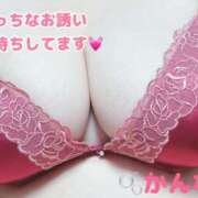 ヒメ日記 2025/02/13 23:35 投稿 かんな 蒼いうさぎ