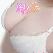 ヒメ日記 2025/02/15 12:16 投稿 かんな 蒼いうさぎ