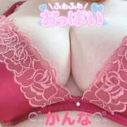 ヒメ日記 2025/02/20 16:53 投稿 かんな 蒼いうさぎ