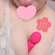 ヒメ日記 2025/03/08 12:01 投稿 かんな 蒼いうさぎ