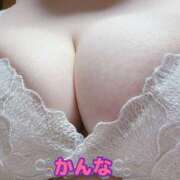 ヒメ日記 2025/03/31 12:18 投稿 かんな 蒼いうさぎ