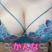 ヒメ日記 2025/06/17 14:59 投稿 かんな 蒼いうさぎ