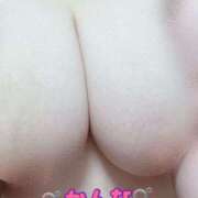 ヒメ日記 2025/06/28 15:03 投稿 かんな 蒼いうさぎ