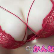 ヒメ日記 2025/10/24 20:27 投稿 かんな 蒼いうさぎ