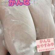 ヒメ日記 2025/11/02 19:30 投稿 かんな 蒼いうさぎ