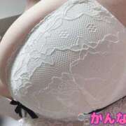 ヒメ日記 2026/02/23 15:18 投稿 かんな 蒼いうさぎ