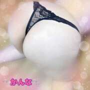 ヒメ日記 2026/04/20 16:19 投稿 かんな 蒼いうさぎ