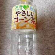 ヒメ日記 2025/04/08 17:21 投稿 うの 愛知弥富ちゃんこ
