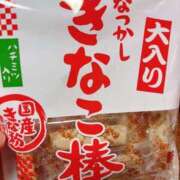 ヒメ日記 2025/04/17 17:21 投稿 うの 愛知弥富ちゃんこ