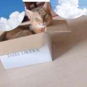 ヒメ日記 2025/05/07 17:51 投稿 うの 愛知弥富ちゃんこ