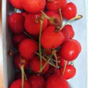 ヒメ日記 2025/06/06 17:54 投稿 うの 愛知弥富ちゃんこ