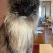 ヒメ日記 2025/08/29 19:02 投稿 うの 愛知弥富ちゃんこ