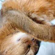 ヒメ日記 2025/09/16 16:51 投稿 うの 愛知弥富ちゃんこ