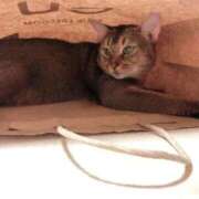 ヒメ日記 2025/10/19 11:21 投稿 うの 愛知弥富ちゃんこ