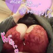 ヒメ日記 2024/12/19 15:44 投稿 はるか 濃厚即19妻