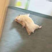 ヒメ日記 2025/05/25 10:06 投稿 カンナ ドＭなバニーちゃん小倉店