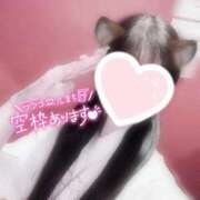 ヒメ日記 2025/09/19 19:36 投稿 カンナ ドＭなバニーちゃん小倉店