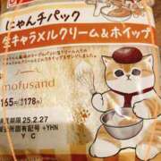 ヒメ日記 2025/02/25 11:25 投稿 ミサキ ルパン