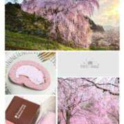 ヒメ日記 2025/04/11 22:02 投稿 ミサキ ルパン