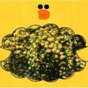 ヒメ日記 2025/04/27 10:41 投稿 ミサキ ルパン