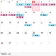 ヒメ日記 2025/06/05 08:35 投稿 ミサキ ルパン