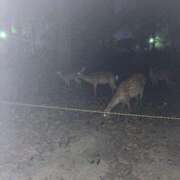 ヒメ日記 2025/08/07 17:13 投稿 ミサキ ルパン