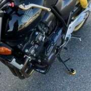 ヒメ日記 2025/10/08 11:46 投稿 ミサキ ルパン