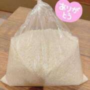 ヒメ日記 2025/11/23 19:57 投稿 ミサキ ルパン