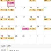 ヒメ日記 2025/12/01 13:08 投稿 ミサキ ルパン