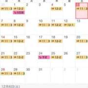 ヒメ日記 2025/12/06 10:07 投稿 ミサキ ルパン