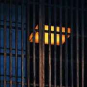 ヒメ日記 2025/11/05 16:26 投稿 さとみ Arrest（アレスト）