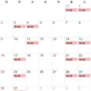 ヒメ日記 2025/02/26 17:04 投稿 のん 桃李（とうり）