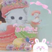 ヒメ日記 2025/03/28 11:24 投稿 のん 桃李（とうり）