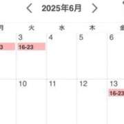 ヒメ日記 2025/05/30 16:46 投稿 のん 桃李（とうり）