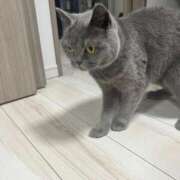 ヒメ日記 2025/06/18 05:34 投稿 のん 桃李（とうり）