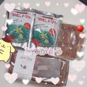 ヒメ日記 2025/11/18 12:33 投稿 のん 桃李（とうり）